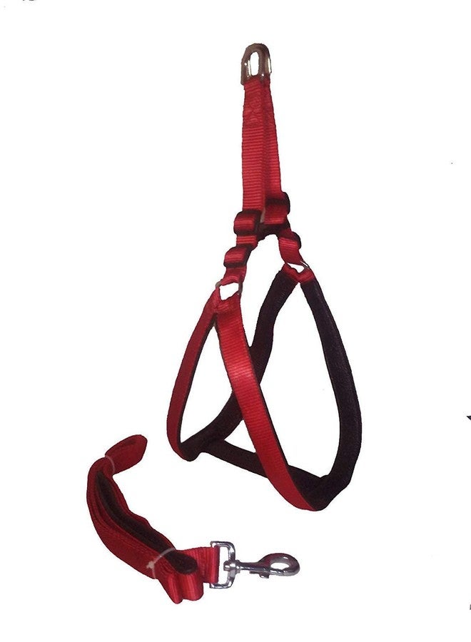 Pups&PetsNylon Adjustable Dog Harness with Leash Padding, Large Size Harness Soft Padded Nylon (Red, XL, 1.25 Inch) - Image 2